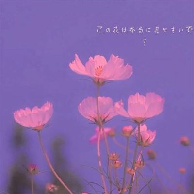 B体育·(sports)官方网站app下载